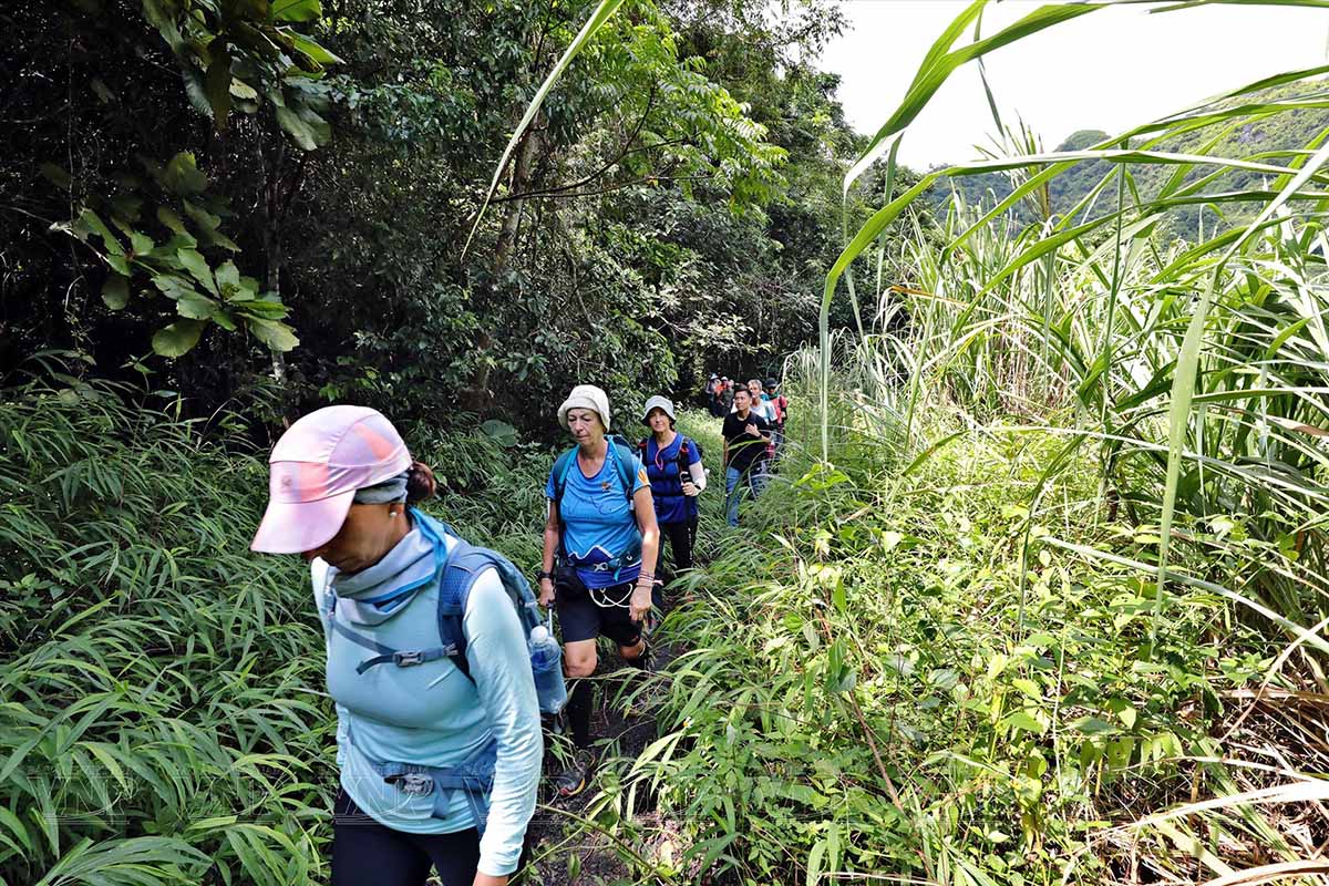 Difficulty Levels Of Hiking In Vietnam